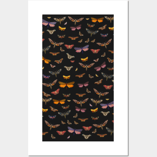 moths and butterflies Posters and Art